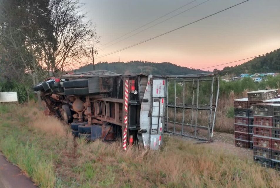 Caminhão carregado de frangos tomba na SC 160 em Modelo