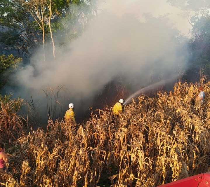 Plantação de milho pega fogo no interior de Quilombo