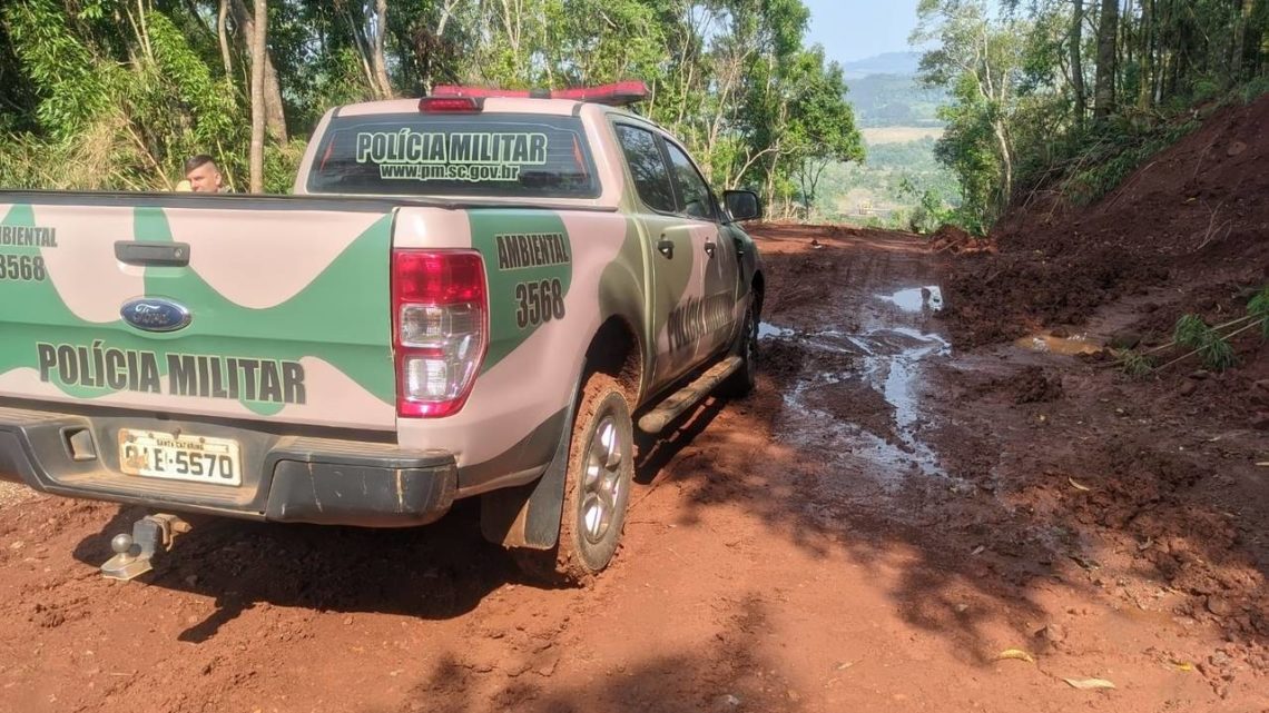 Vídeo: Polícia Militar Ambiental flagra desmatamento em Faxinal dos Guedes