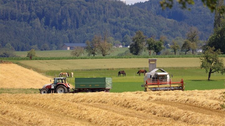 Faturamento do agro brasileiro chegará a R$ 1 trilhão pela segunda vez