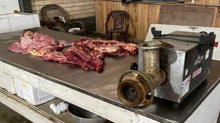 Quatro restaurantes são investigados por venda de carne de cavalo em SC