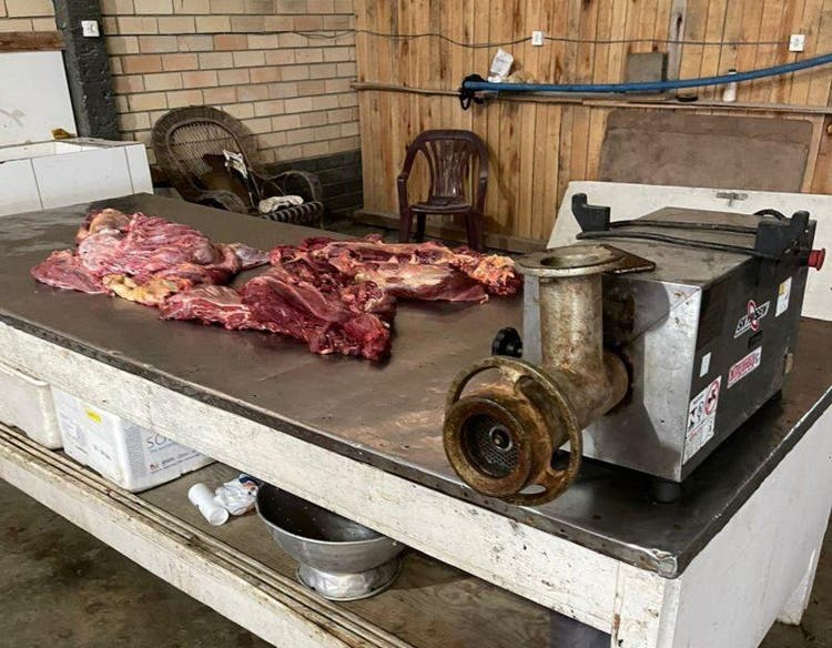 Quatro restaurantes são investigados por venda de carne de cavalo em SC