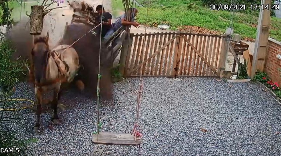 Vídeo: Homem cai de charrete após cavalo correr e invadir casa em SC