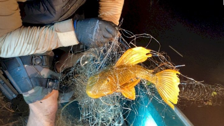 PMA apreende 1.900 metros de rede de pesca em Palmitos