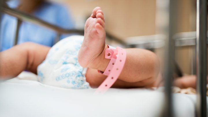 Justiça reconhece dupla maternidade de casal homoafetivo que fez inseminação caseira em SC