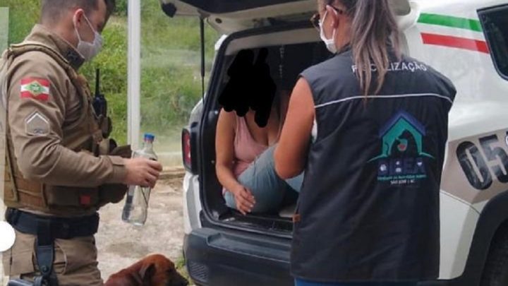 Mulher é presa em SC com cães mortos em casa