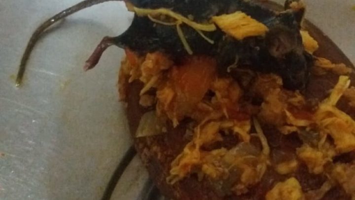Vídeo: moradora do Oeste de SC encontra rato dentro da embalagem de molho de tomate