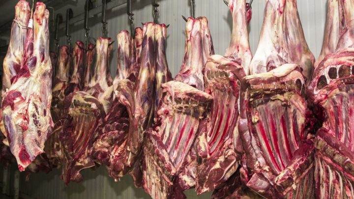 China retoma importação de carne bovina brasileira