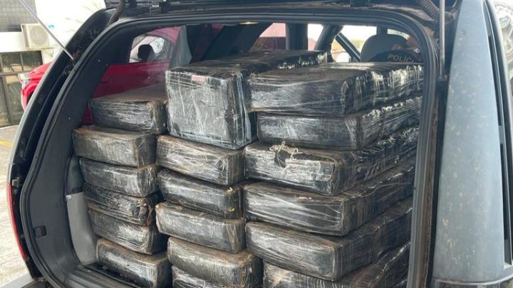 Vídeo: Polícia Civil realiza incineração de três toneladas de drogas apreendidas em Chapecó
