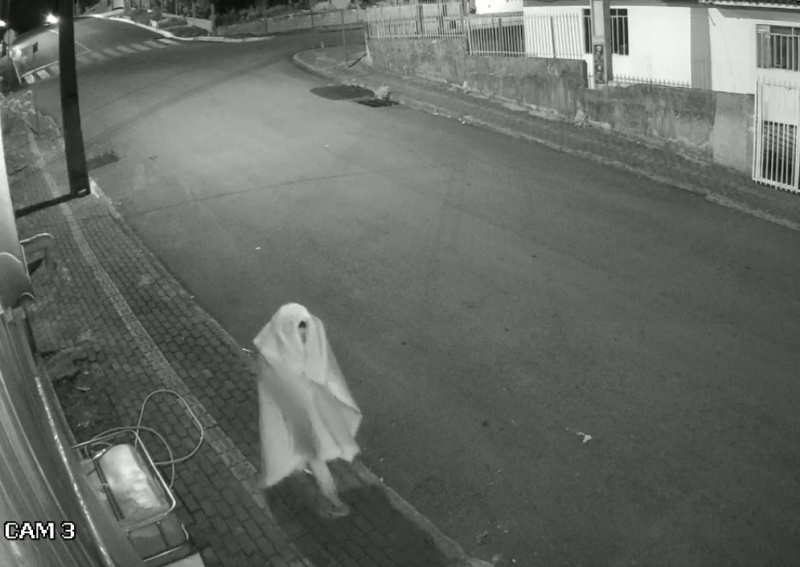 Vídeos: Ladrão “fantasma” usa lençol para furtar objetos de residência