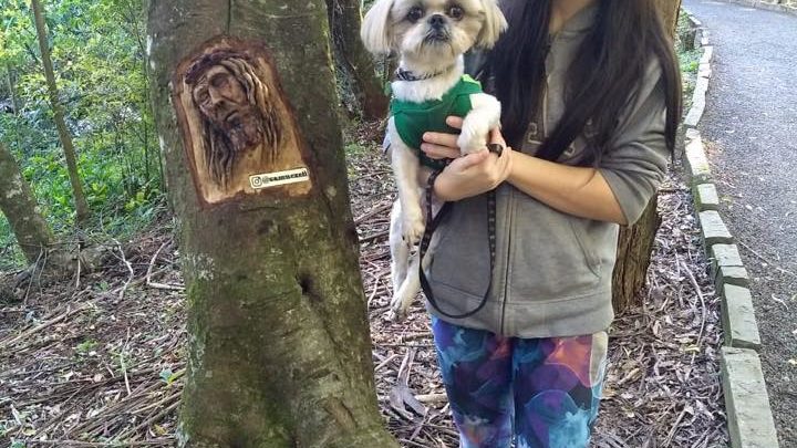 Prefeitura orienta sobre cuidados com pets nos espaços públicos em Chapecó