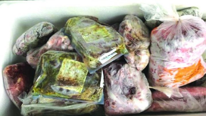 Quadrilha que roubava carne vencida e vendia a churrascaria é condenada em SC