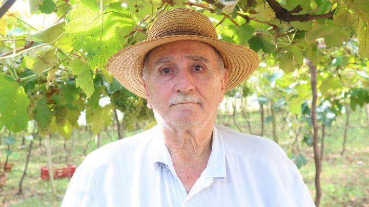 Honestidade de clientes faz barraca sem vendedor dar certo em Pinhalzinho
