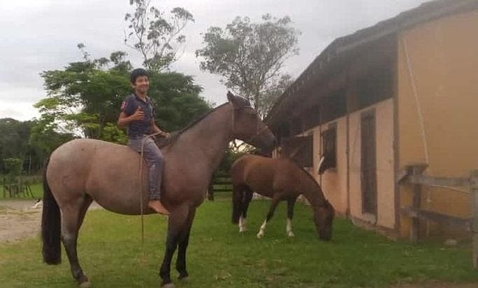 Menino morto com coice de cavalo em Joinville era apaixonado por animais