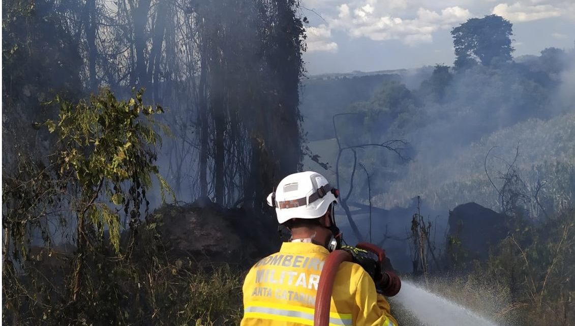 Incêndio destrói 35 hectares de vegetação na linha Salto Saudades em Quilombo