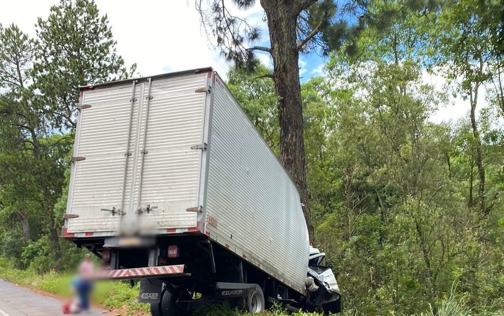 Caminhão sai da pista, bate em árvore e deixa uma pessoa morta e outra ferida na BR-282