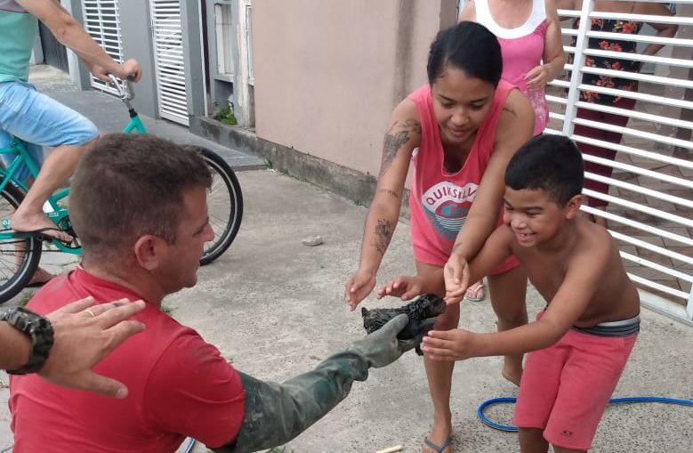 Filhote de cachorro cai em bueiro e é resgatado em SC