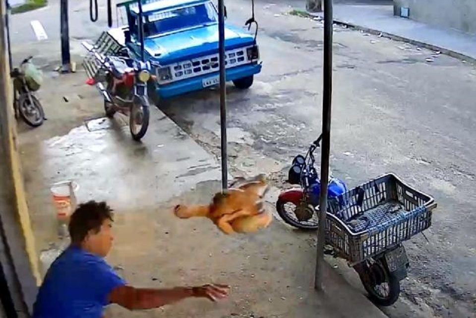Vídeo: homem reage a assalto atirando um frango no ladrão