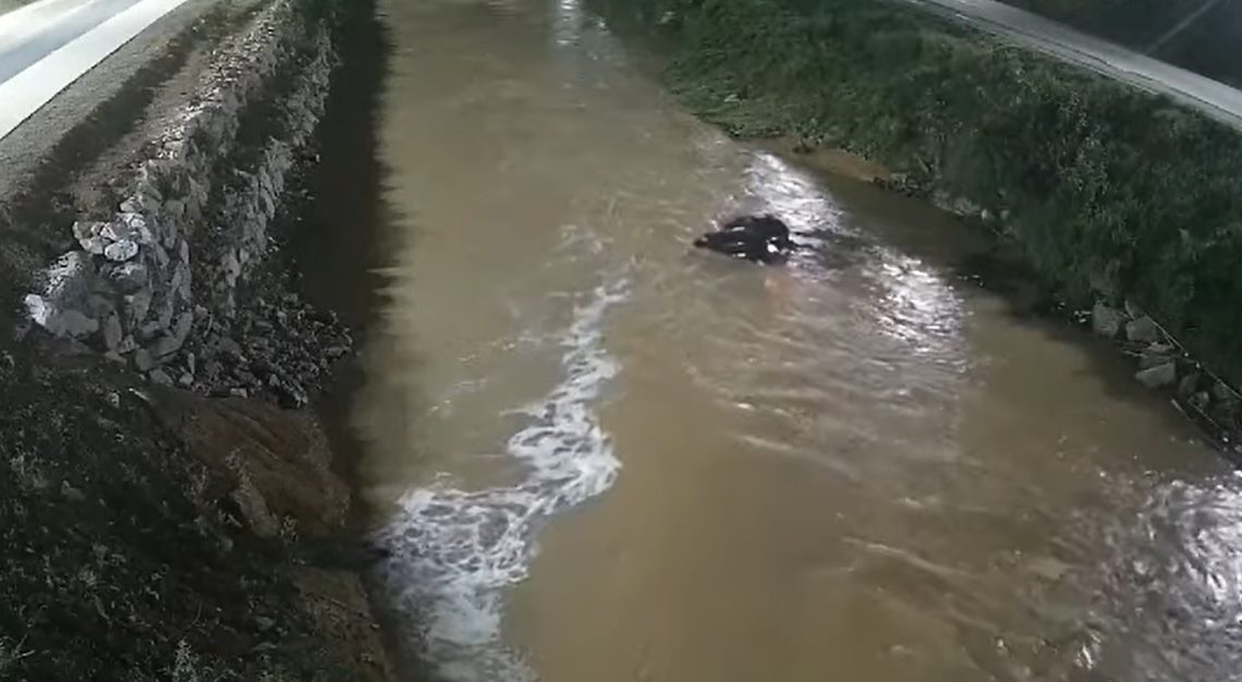 Vídeo mostra acidente que matou motorista que caiu em rio SC