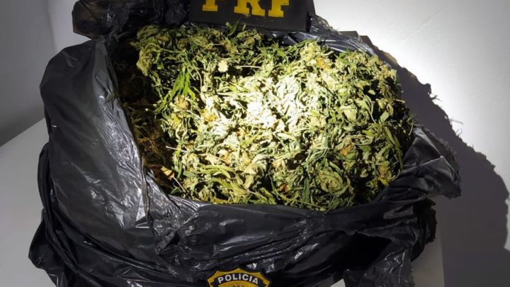 PRF prende motorista após encontrar carga de ‘supermaconha’ no porta-malas de carro em SC