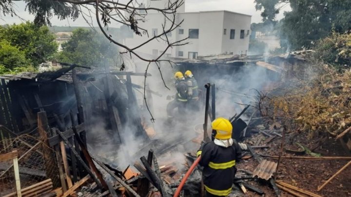 Mulher provoca incêndio ao atear fogo em ninho de vespas