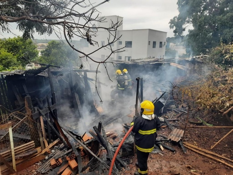 Mulher provoca incêndio ao atear fogo em ninho de vespas