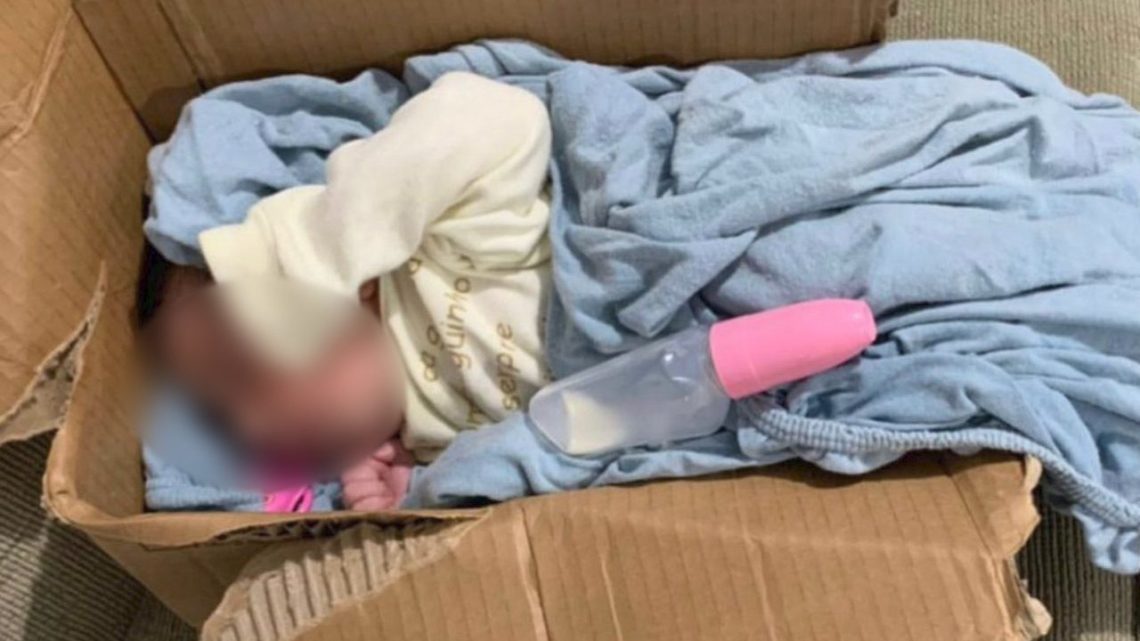 Bebê é encontrado em caixa de papelão em terreno baldio em SC