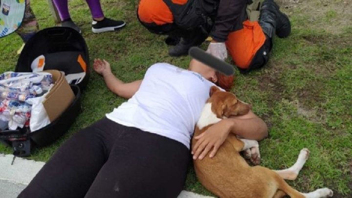 Mulher sofre acidente para desviar de cachorro e animal fica ao lado durante resgate