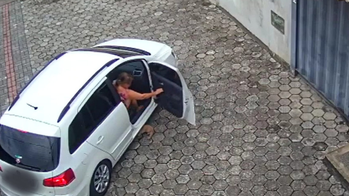 Vídeo: carro é flagrado abandonando gato em SC