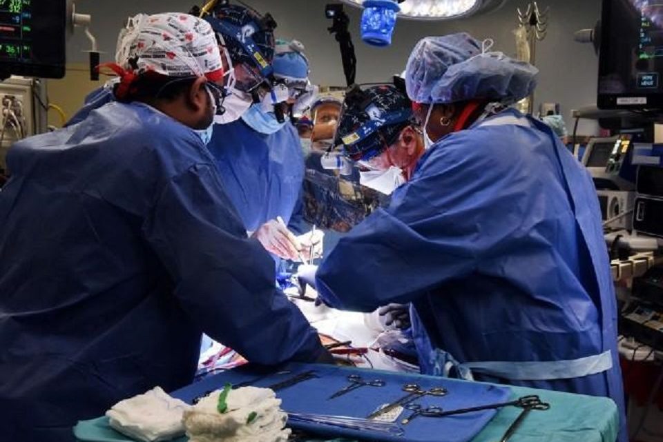 Morre nos EUA primeiro paciente que recebeu transplante de coração de porco