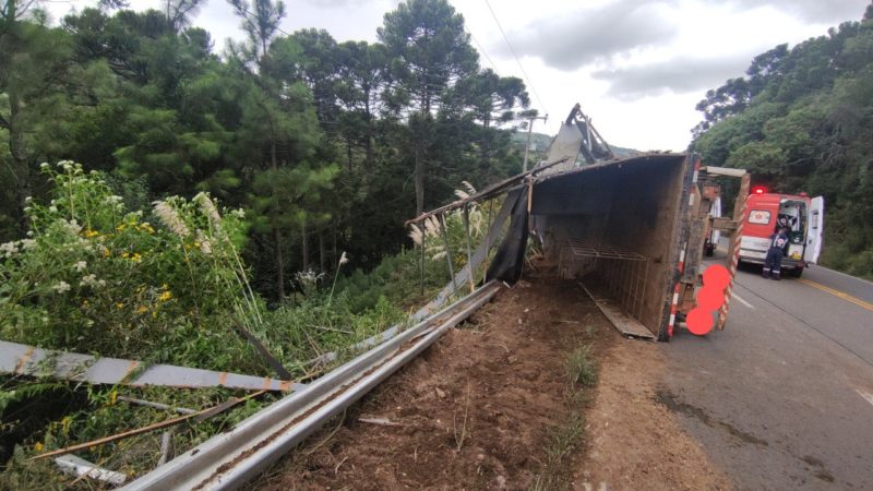 Caminhão carregado com 18 bovinos capota e animais descem ribanceira na SC-114