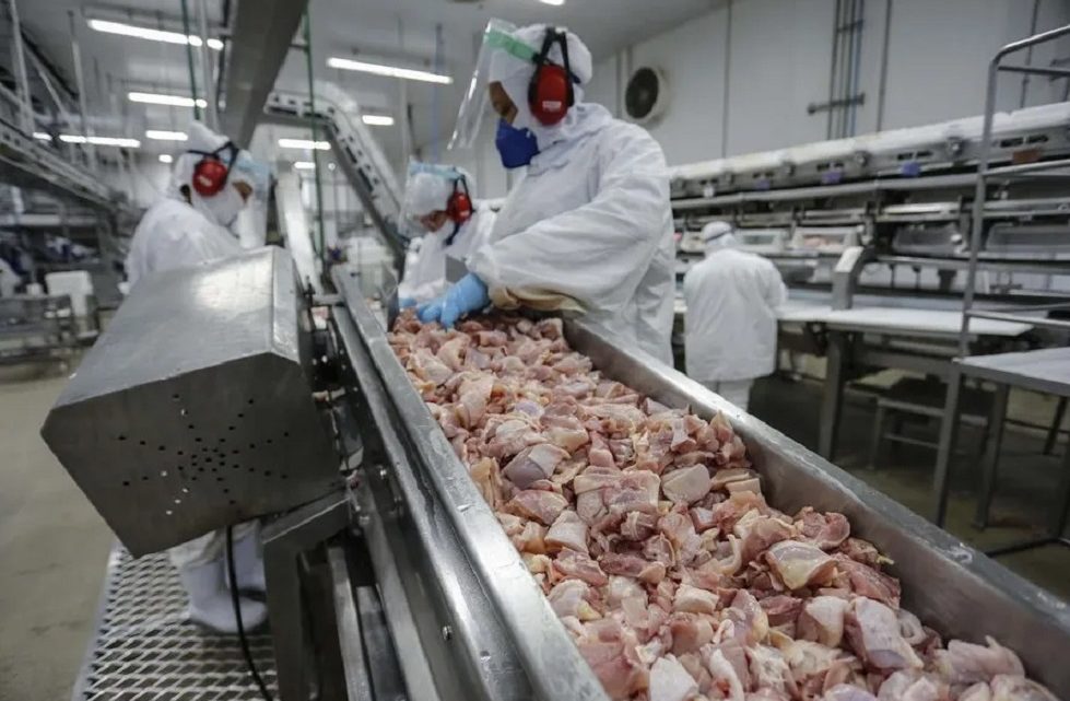 Emirados Árabes se tornam maior importador de frango do Brasil