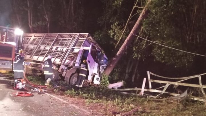 Vídeo: caminhoneiro fica preso nas ferragens em acidente no meio oeste de SC