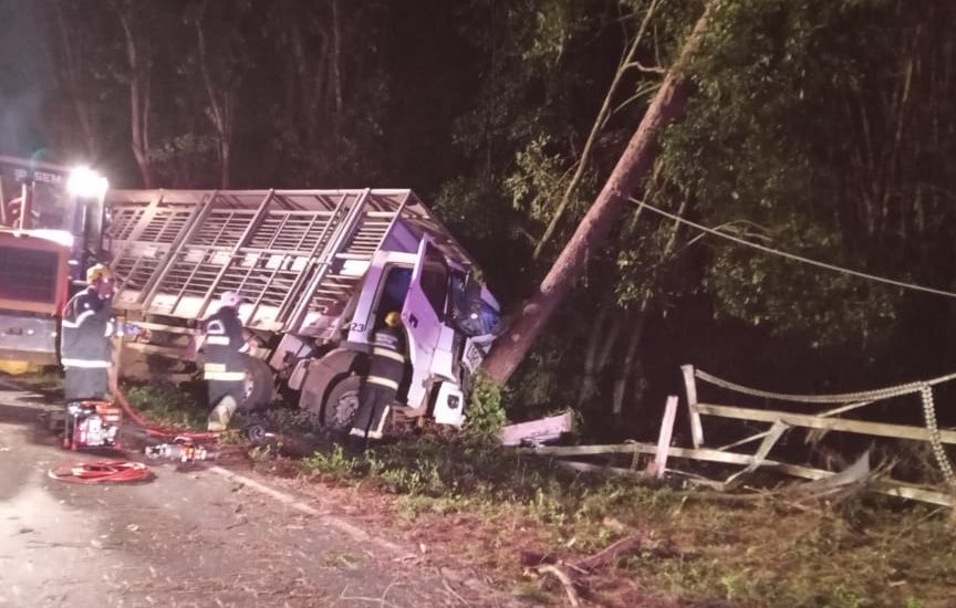 Vídeo: caminhoneiro fica preso nas ferragens em acidente no meio oeste de SC