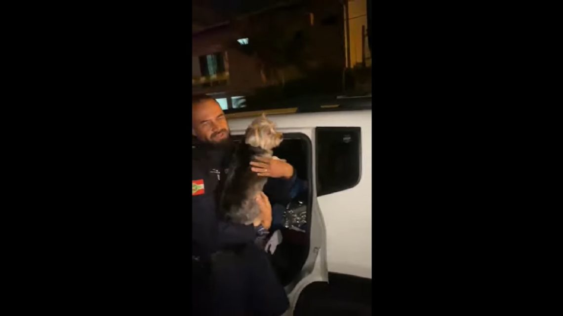 Vídeo: Cachorro é salvo após ficar trancado por 1 hora em carro em BC
