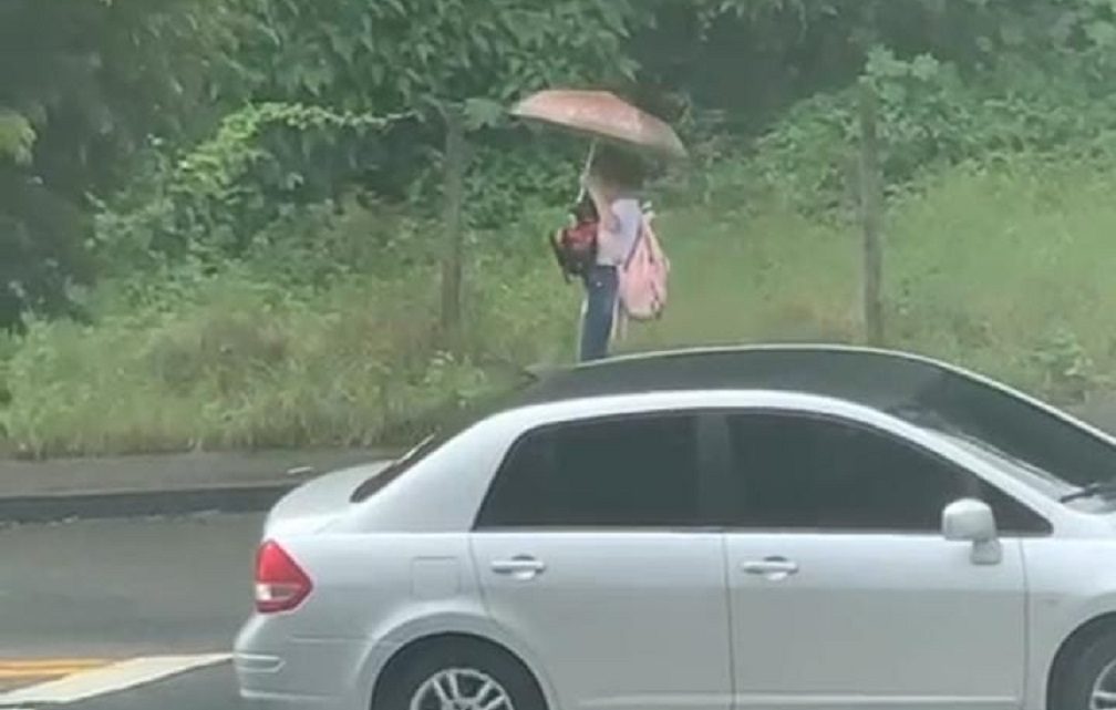 Em vídeo emocionante, estudante salva cachorro deitado no meio da chuva em SC