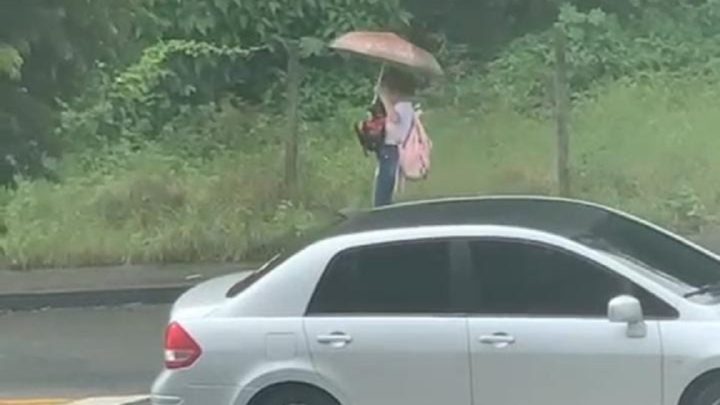 Em vídeo emocionante, estudante salva cachorro deitado no meio da chuva em SC