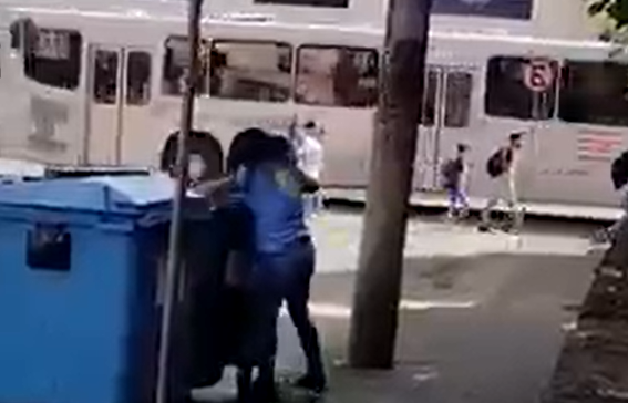 Vídeo: mulher é flagrada jogando cão em lixeira em SC