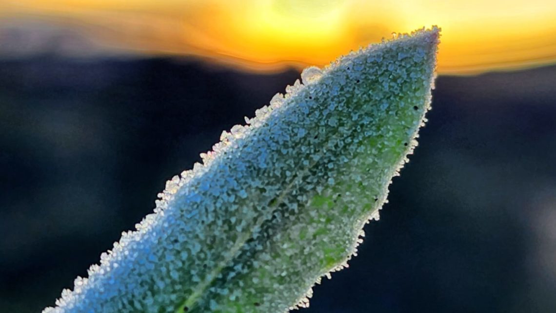 Temperatura em SC chegou a -6,6º; veja até quando a friaca fica pelo Estado