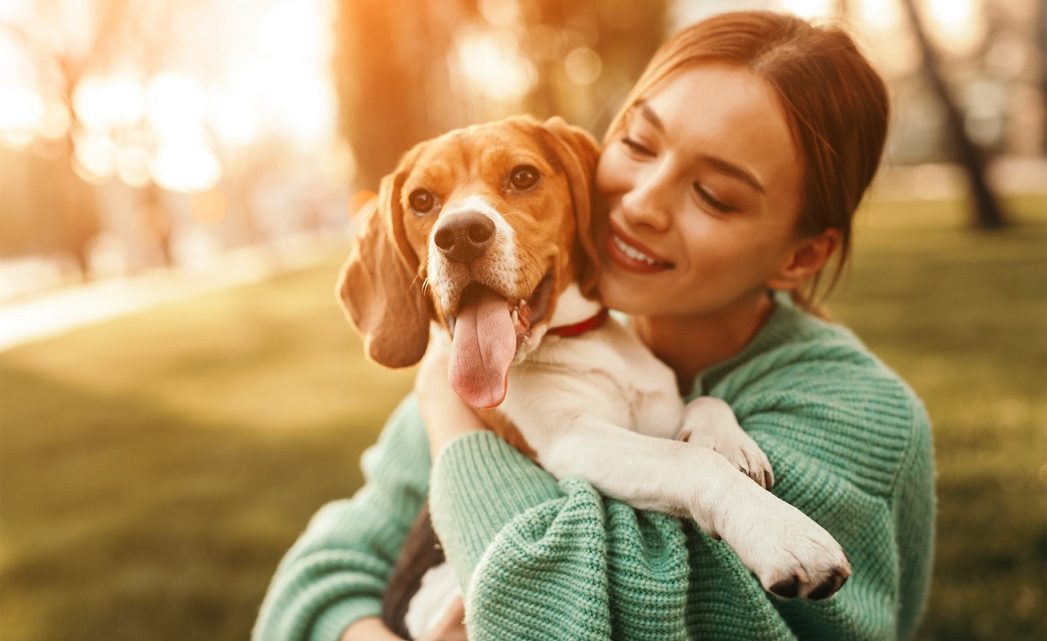 Funcionários da Nestlé agora podem levar pets ao trabalho todos os dias