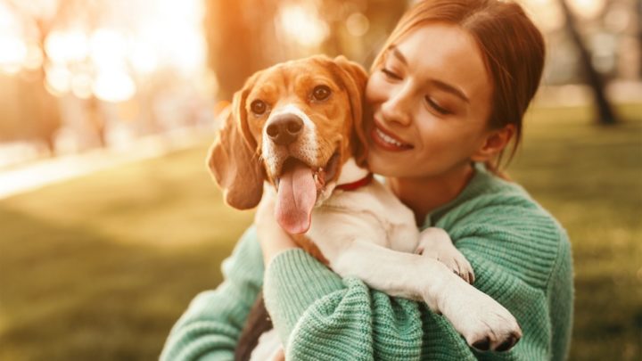 Funcionários da Nestlé agora podem levar pets ao trabalho todos os dias