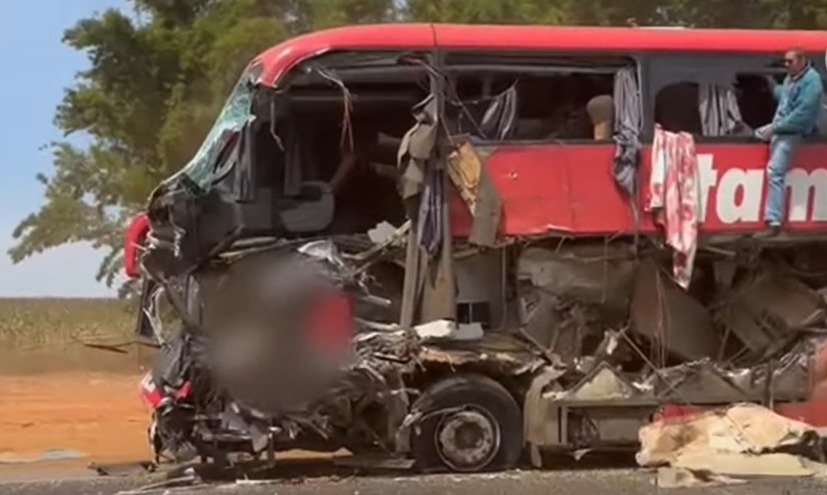 Colisão entre ônibus e carreta deixa 11 mortos na BR-163