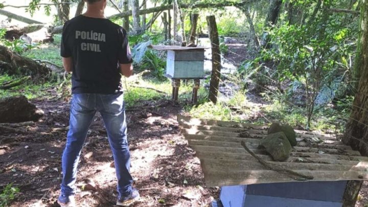 Polícia Civil investiga furto de caixas de abelhas em Saudades
