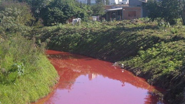 Rio amanhece vermelho após vazamento de produto químico em empresa