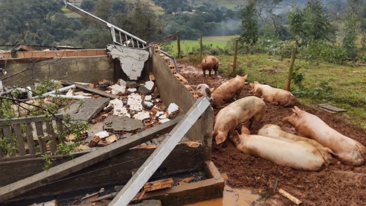 Vendaval destrói chiqueirão no interior de Erval Velho