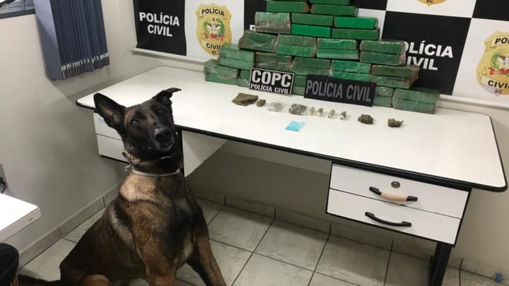 Vídeo: Polícia Civil prende duas pessoas em flagrante por tráfico de drogas em Chapecó