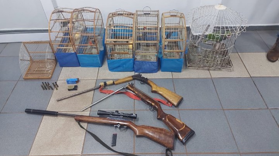 PMA resgata aves silvestres e apreendem três armas de fogo