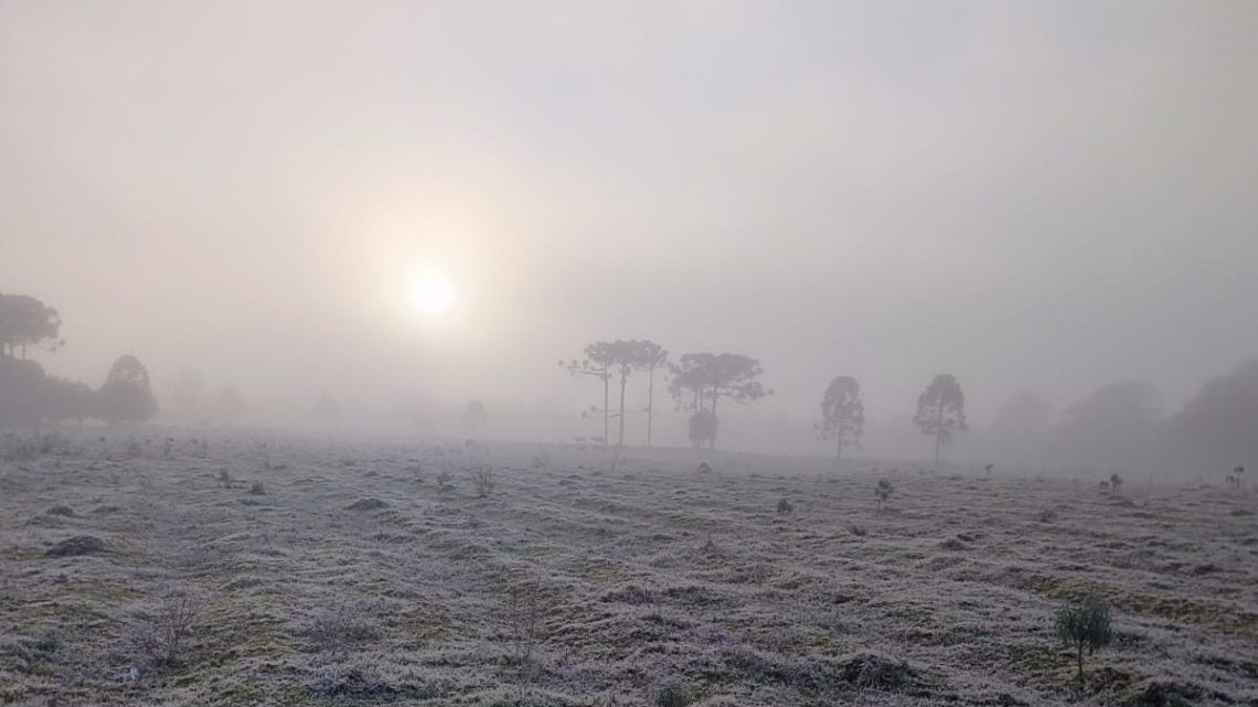 Madrugada desta segunda é marcada por geadas em Santa Catarina; veja imagens