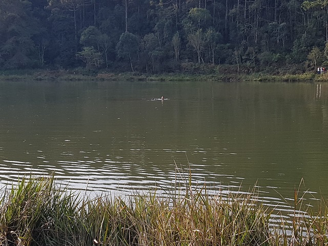 Homem morre afogado ao entrar em açude para pegar pipa no Oeste de SC