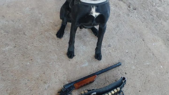 Polícia Civil apreende arma de fogo e munições em investigação de ameaça contra mulher em Chapecó